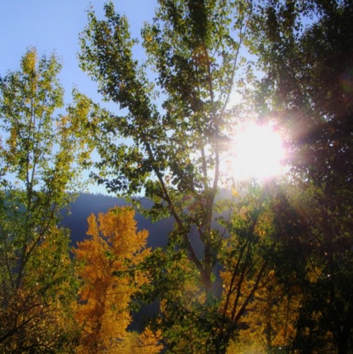 evening sun hill farm autumn 2010
