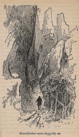 henrietta's house elizabeth goudge 1 001