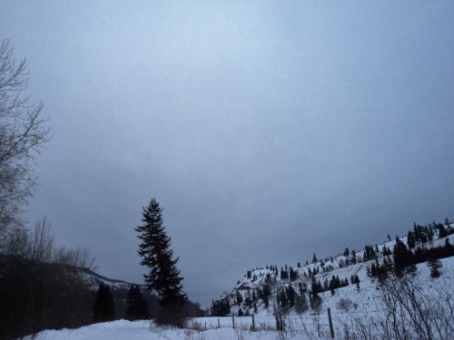 walk jan 13, 2013 010