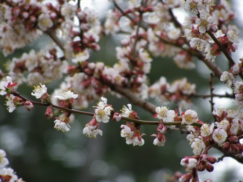 ???????????????????????????????