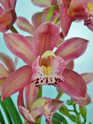 ???????????????????????????????