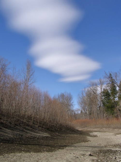 Right now the river is as low as it gets all year, and we're taking advantage of that to explore the sandy side channels which are usually full of water the rest of the year.