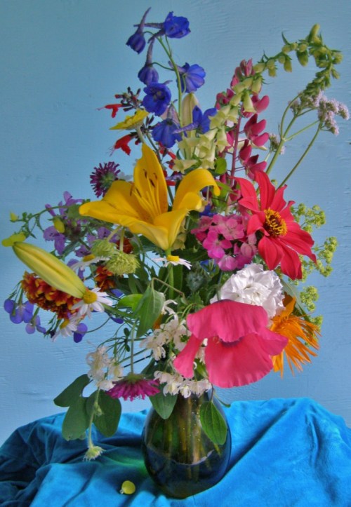 ???????????????????????????????