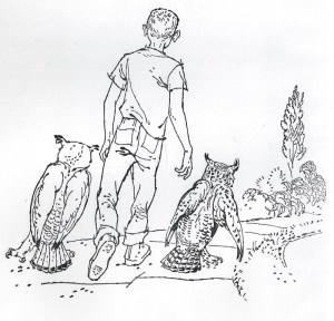 From Farley Mowat's 'Owls in the Family' frontispiece; illustration by Robert Frankenberg.