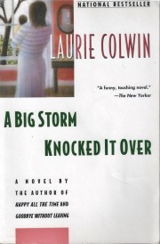 a big storm knocked it over laurie colwin 001