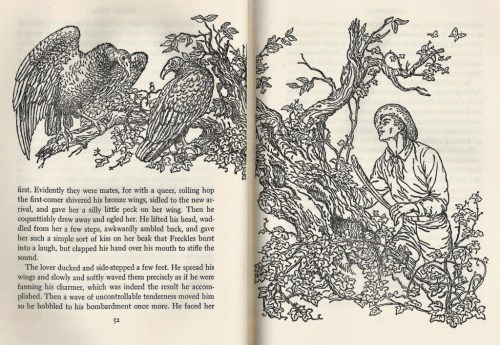 freckles illustration 1 ruth ives gene stratton porter 001