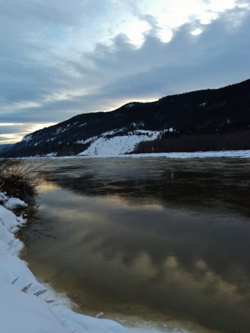 Down by the Fraser River, which forms the boundary of our small farm, New Year's Eve afternoon. A brief moment of peaceful beauty, soon to change...