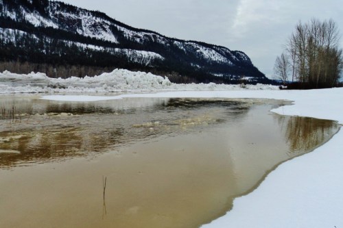 January 1st, 2014. Ice coming down the Fraser River has piled up a mile or so downstream, causing an ice dam and upstream flooding of our lower fields.