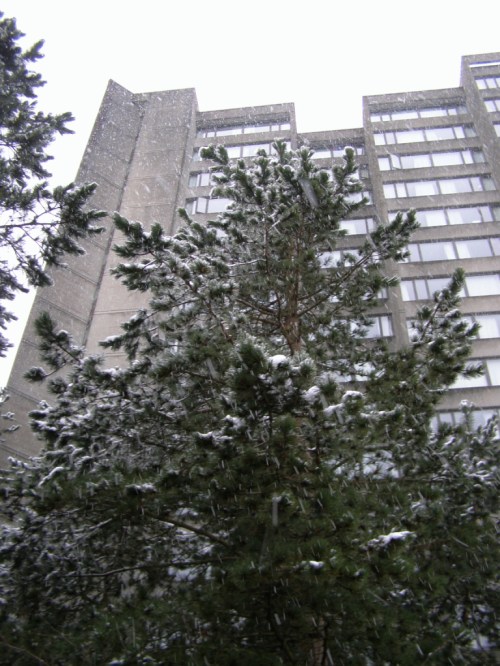 The view out the window upon arrival at UBC last week - what's up with the SNOW?!