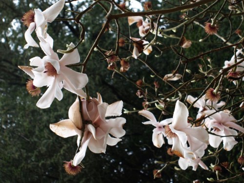 ??????????????????????