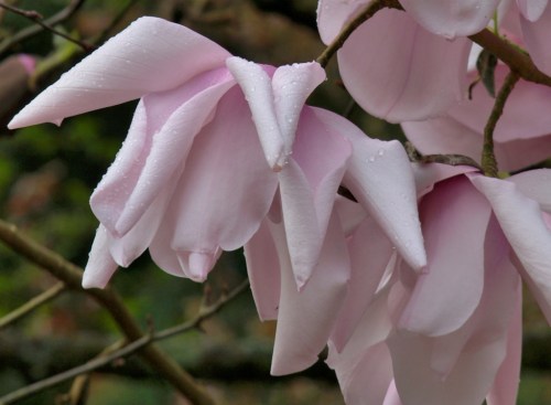 ??????????????????????