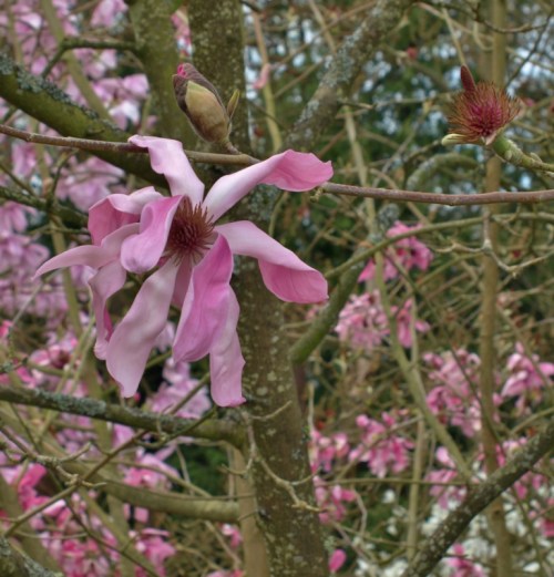 ??????????????????????