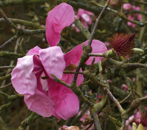 ??????????????????????