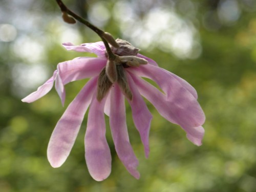 ??????????????????????