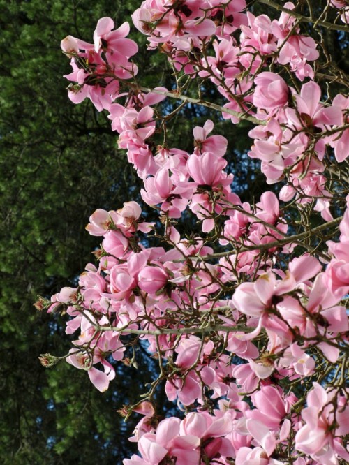 ??????????????????????