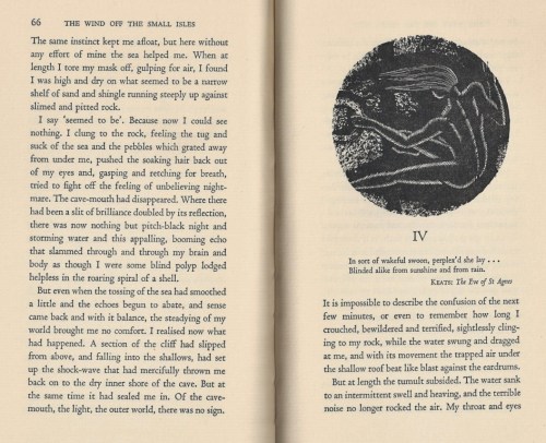 the wind off the small isles excerpt mary stewart 001