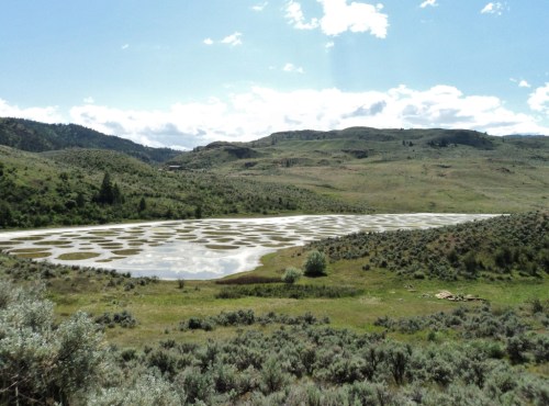 And the scenery was pretty incredible, too. Here's the locally famous "Spotted Lake" near Osoyoos, B.C. (just north of the United States border). Crystalline salt pans in perfectly rounbd formation; a sacred First Nations site as well as an interesting natural phenomenon.