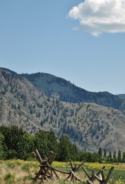 Blue skies, dry hills, and lush farms in the valleys where the rivers and streams provide welcome irrigation water. This is near Keremeos, B.C., an area of orchards and vineyards - the fruit basket of B.C.