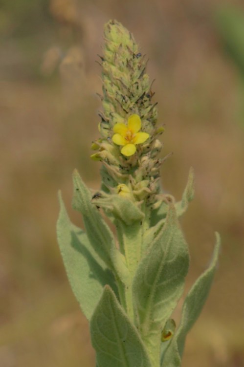 ??????????????????????