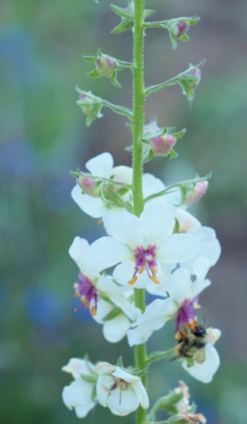 ??????????????????????