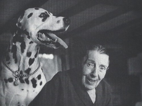 dodie smith charley 1986 001