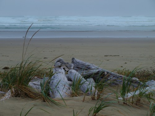 Pacific Ocean at Long Beach, western side of Vancouver Island. Next landfall, Japan.