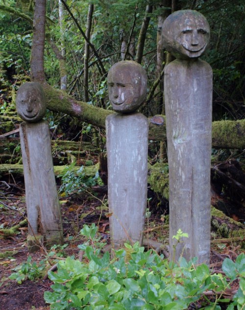 Mildly eerie but decidedly cheery: dwellers in the rainforest at Tofino Botanical Garden.