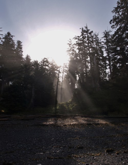 Misty morning sunrise.