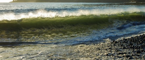 Heading down island, into some welcome sunshine, which lights up the evening waves at French Beach, near Jordan River. We sat on the rocks in the sunset and watched three sea otters frolicking in the kelp beds as the tide turned and started rolling in.