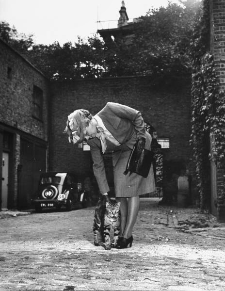 margery sharp feline friend