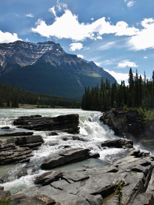 Athabasca Falls, Jasper National Park, Alberta.