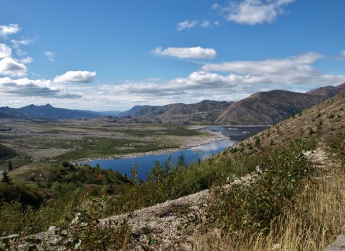 Above Spirit Lake, Windy Ridge Lookout, Mt St Helens. It's hard to capture the impact of the scene in context with the surroundings. This looks like nothing more than a pretty alpine lake, but we're surrounded by ash and rock deposits, and the silver stumps of thousands upon thousand of trees destroyed in the 1980 volcanic eruption.