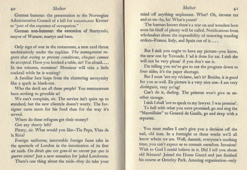 shelter-marguerite-steen-excerpt